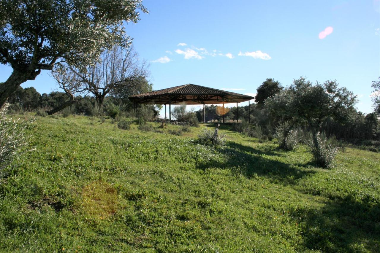 Casa Rural - Complejo El Tejar De Las Canadas Candeleda Dış mekan fotoğraf