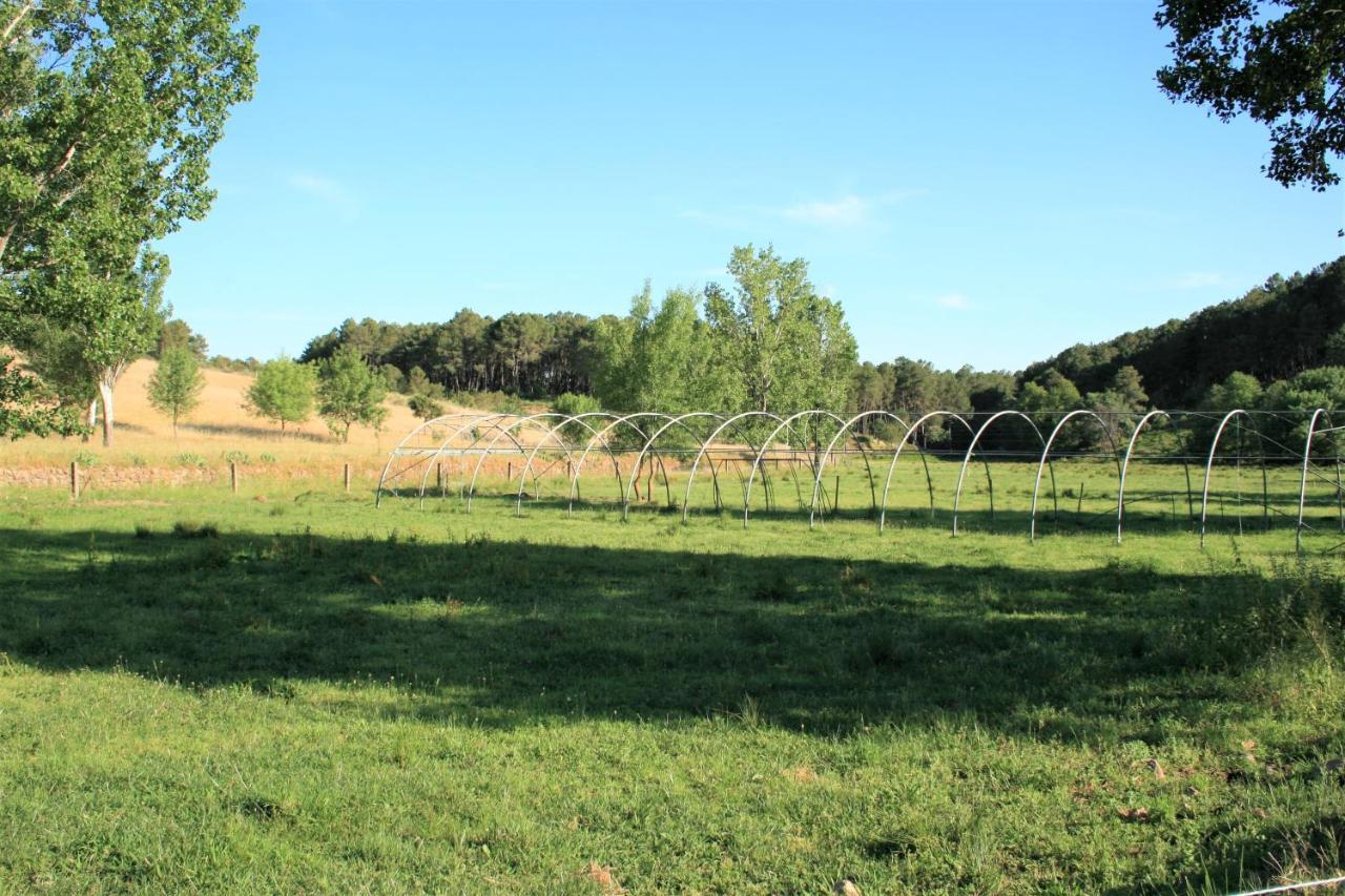 Casa Rural - Complejo El Tejar De Las Canadas Candeleda Dış mekan fotoğraf